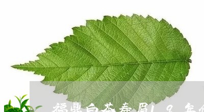 福鼎白茶寿眉19年价格/2023092252738