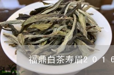 福鼎白茶寿眉2016年价/2023092603938