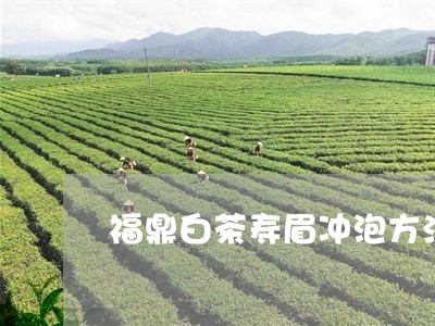 福鼎白茶寿眉冲泡方法/2023120819474