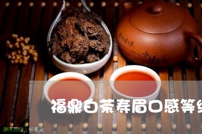 福鼎白茶寿眉口感等级/2023062968491