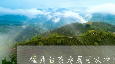 福鼎白茶寿眉可以冲泡几次/2023042567493