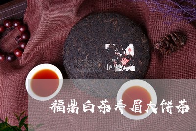 福鼎白茶寿眉大饼茶/2023111573836