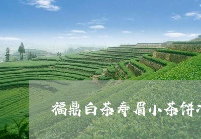 福鼎白茶寿眉小茶饼冲泡方法/2023062920794