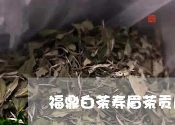 福鼎白茶寿眉茶贡眉/2023120597247