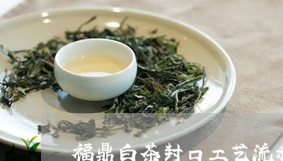 福鼎白茶封口工艺流程视频/2023042588280