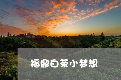 福鼎白茶小梦想/2023060850425