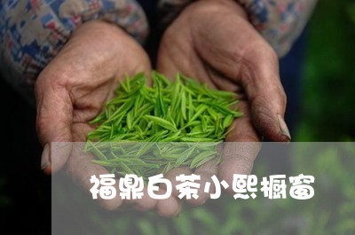 福鼎白茶小熙橱窗/2023111619263