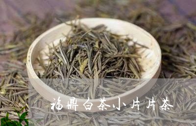 福鼎白茶小片片茶/2023090546138