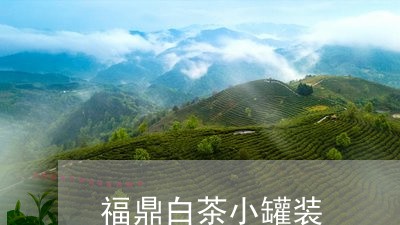 福鼎白茶小罐装/2023060854606