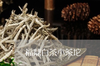 福鼎白茶小茶坨/2023060860493