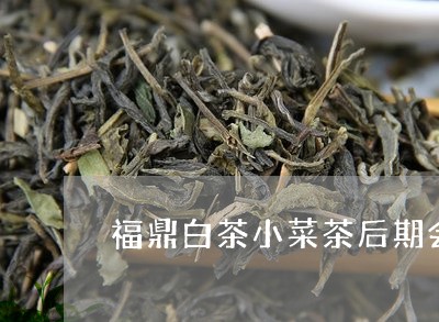 福鼎白茶小菜茶后期会转化吗/2023062972827