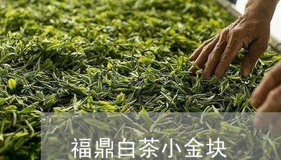 福鼎白茶小金块/2023060852825