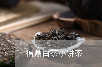 福鼎白茶小饼茶/2023060857151