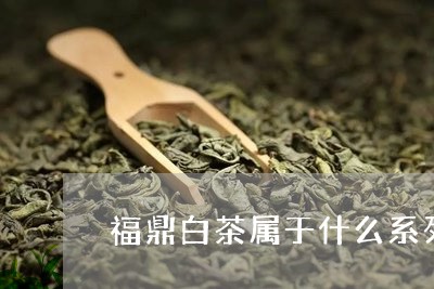 福鼎白茶属于什么系列的茶/2023092517414