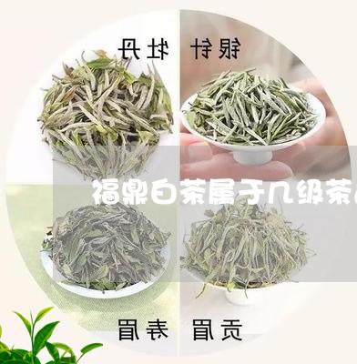 福鼎白茶属于几级茶品类别/2023111558350