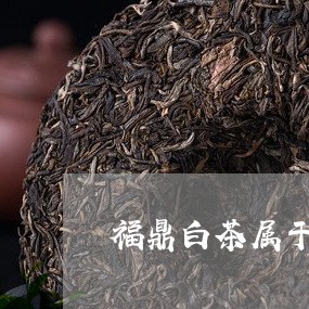 福鼎白茶属于哪个茶类/2023120845026