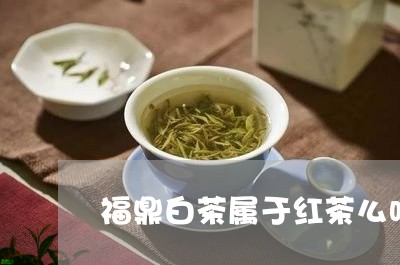 福鼎白茶属于红茶么吗/2023110999371