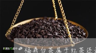 福鼎白茶属于红茶还是绿茶呢/2023062805828