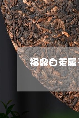 福鼎白茶属于配方茶吗/2023110988278