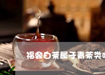 福鼎白茶属于青茶类吗/2023120672747