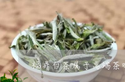 福鼎白茶属于高端茶吗/2023120782592