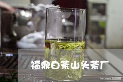 福鼎白茶山头茶厂/2023112622714