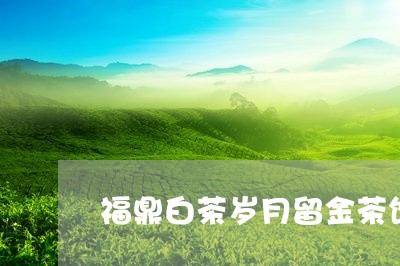 福鼎白茶岁月留金茶饼/2023082628189