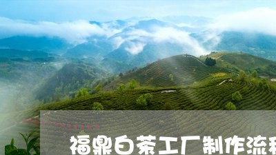 福鼎白茶工厂制作流程视频/2023110962806