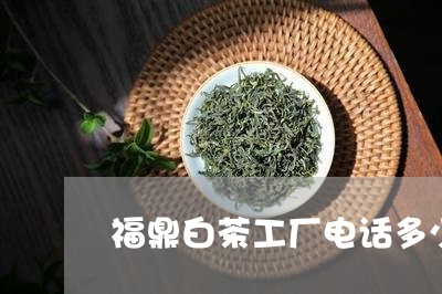 福鼎白茶工厂电话多少号码/2023042514826