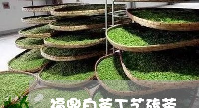 福鼎白茶工艺砖茶/2023112609473