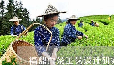 福鼎白茶工艺设计研究/2023092058471