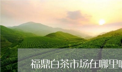 福鼎白茶市场在哪里呢/2023120833816