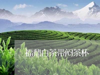 福鼎白茶带闷茶杯/2023111714158