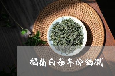 福鼎白茶年份猫腻/2023070784036