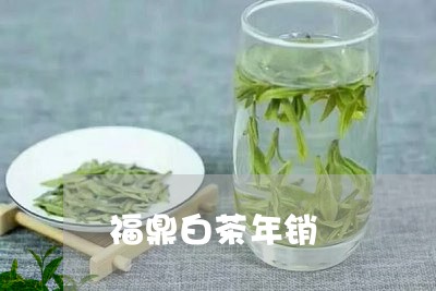 福鼎白茶年销/2023082622936