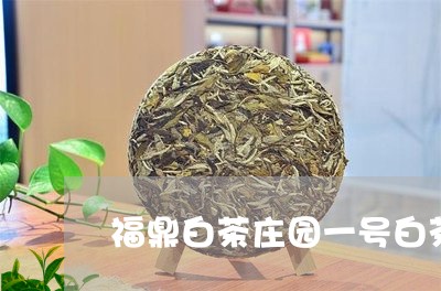 福鼎白茶庄园一号白茶/2023091517371