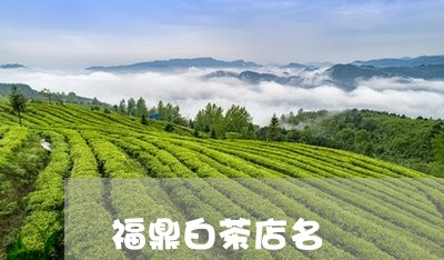 福鼎白茶店名/2023052244040