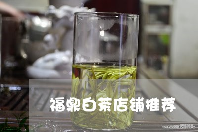 福鼎白茶店铺推荐/2023112597259