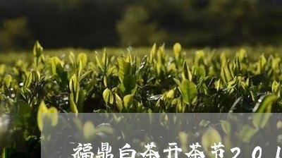 福鼎白茶开茶节2018/2023092218373