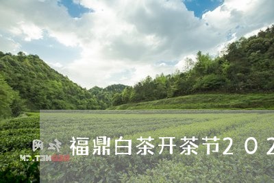 福鼎白茶开茶节2022年8月/2023062855370