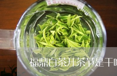 福鼎白茶开茶节是干啥/2023120660404