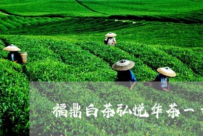 福鼎白茶弘悦华茶一号/2023120739581