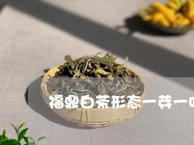 福鼎白茶形态一芽一叶/2023120789593