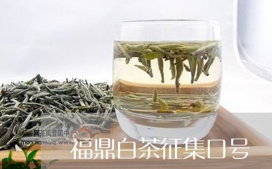 福鼎白茶征集口号/2023070710503