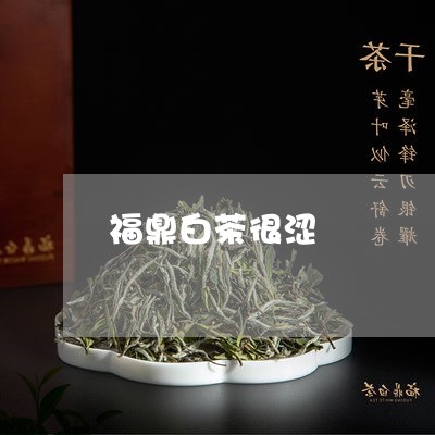 福鼎白茶很涩/2023052212936