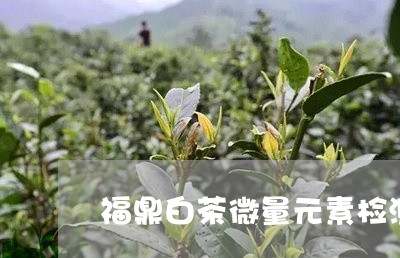 福鼎白茶微量元素检测仪/2023110108359