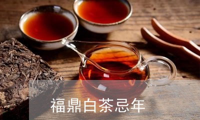 福鼎白茶忌年/2023052213815