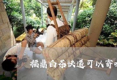 福鼎白茶快递可以寄吗国内/2023042640272