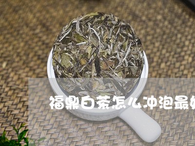 福鼎白茶怎么冲泡最好/2023092040595