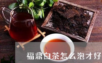 福鼎白茶怎么泡才好喝又香/2023042651616